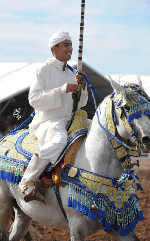 Lisa Abraham: Tbourida Photos by Lisa Abraham 