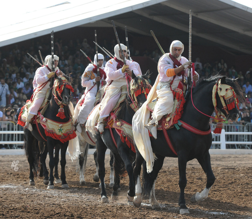 Lisa Abraham: Tbourida Photos by Lisa Abraham 