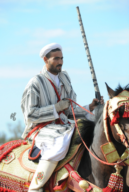 Lisa Abraham: Tbourida Photos by Lisa Abraham 