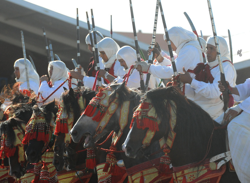 Lisa Abraham: Tbourida Photos by Lisa Abraham 