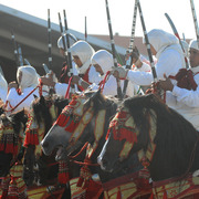 Lisa Abraham: Tbourida Photos by Lisa Abraham 