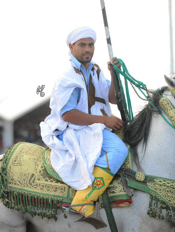 Lisa Abraham: Tbourida Photos by Lisa Abraham 