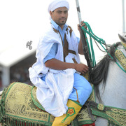 Lisa Abraham: Tbourida Photos by Lisa Abraham 