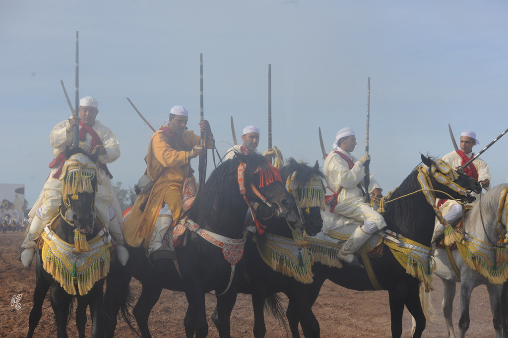 Lisa Abraham: Tbourida Photos by Lisa Abraham 