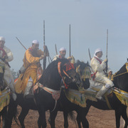 Lisa Abraham: Tbourida Photos by Lisa Abraham 