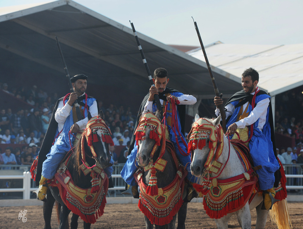 Lisa Abraham: Tbourida Photos by Lisa Abraham 