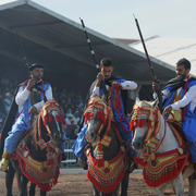 Lisa Abraham: Tbourida Photos by Lisa Abraham 