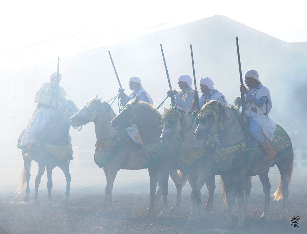 Lisa Abraham: Tbourida Photos by Lisa Abraham 