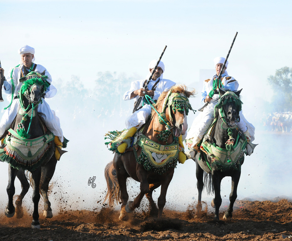 Lisa Abraham: Tbourida Photos by Lisa Abraham 