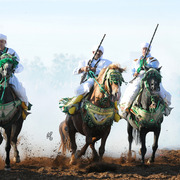 Lisa Abraham: Tbourida Photos by Lisa Abraham 