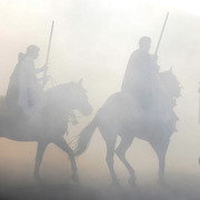 Lisa Abraham: Tbourida Photos by Lisa Abraham 