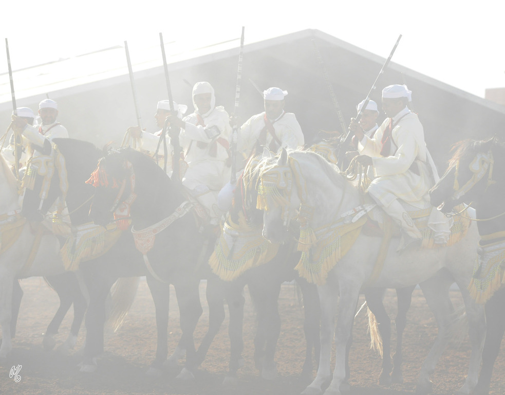 Lisa Abraham: Tbourida Photos by Lisa Abraham 