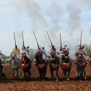 Lisa Abraham: Tbourida Photos by Lisa Abraham 