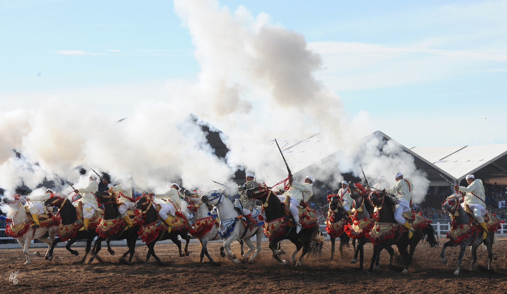 Lisa Abraham: Tbourida Photos by Lisa Abraham 