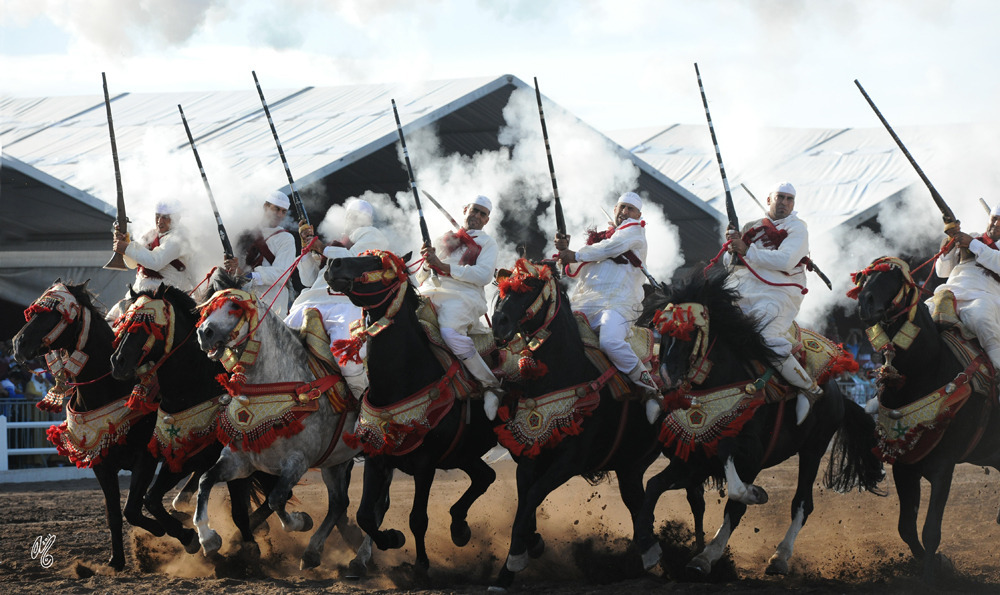 Lisa Abraham: Tbourida Photos by Lisa Abraham 