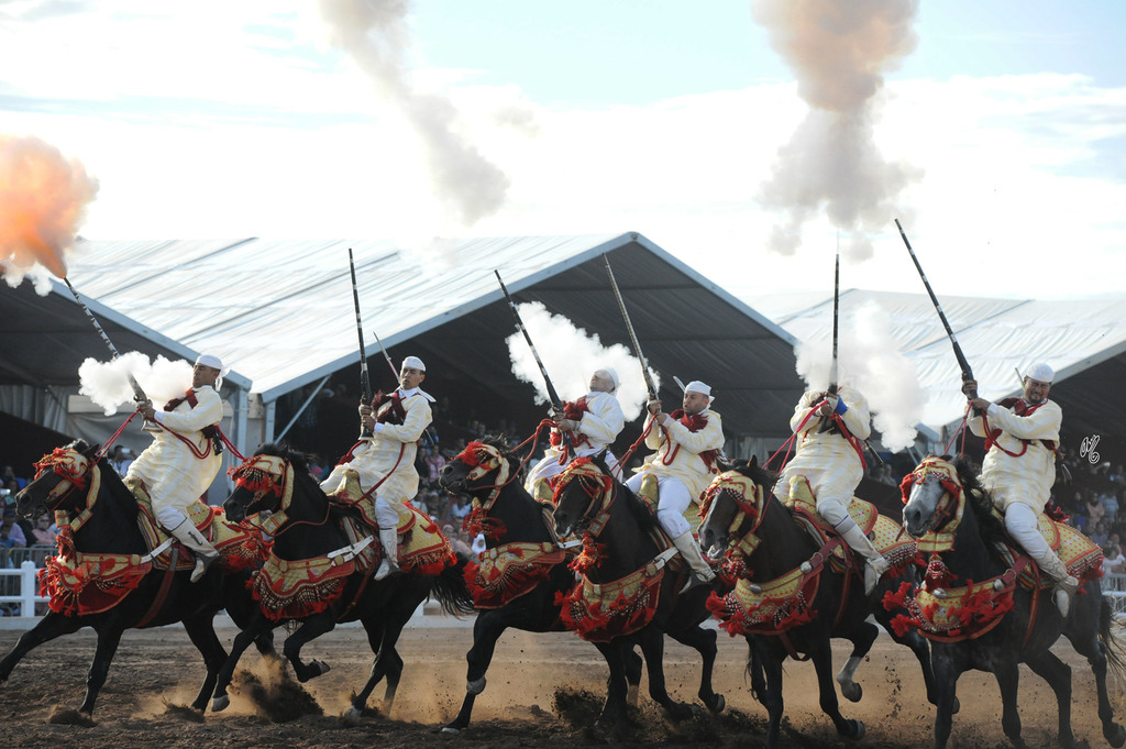 Lisa Abraham: Tbourida Photos by Lisa Abraham 