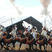 Lisa Abraham: Tbourida Photos by Lisa Abraham 