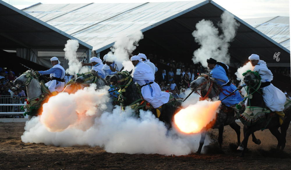 Lisa Abraham: Tbourida Photos by Lisa Abraham 