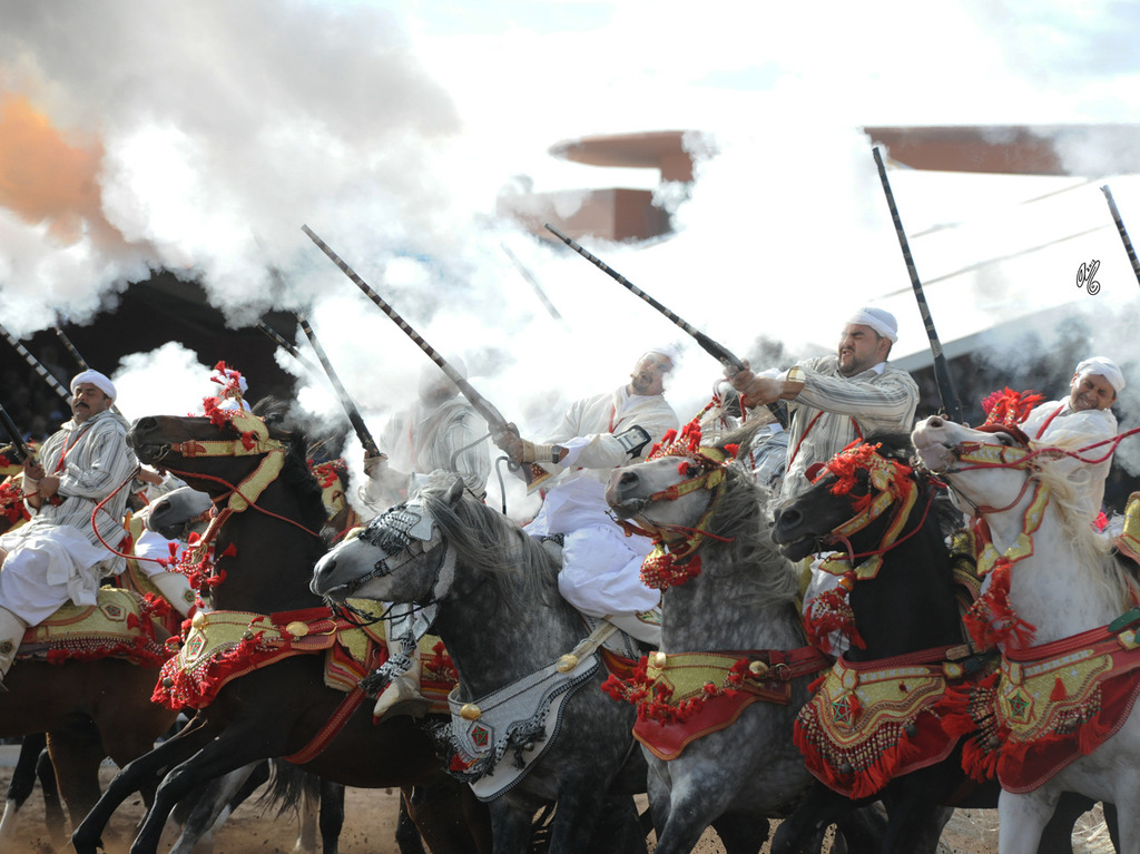 Lisa Abraham: Tbourida Photos by Lisa Abraham 