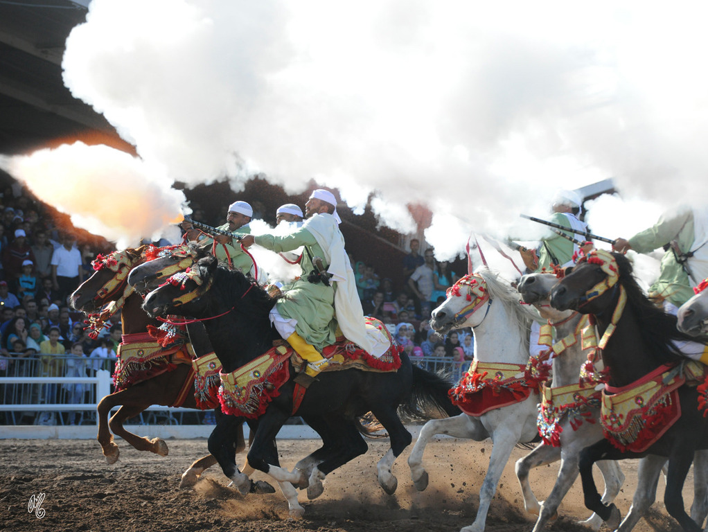 Lisa Abraham: Tbourida Photos by Lisa Abraham 