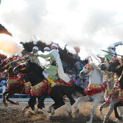 Lisa Abraham: Tbourida Photos by Lisa Abraham 