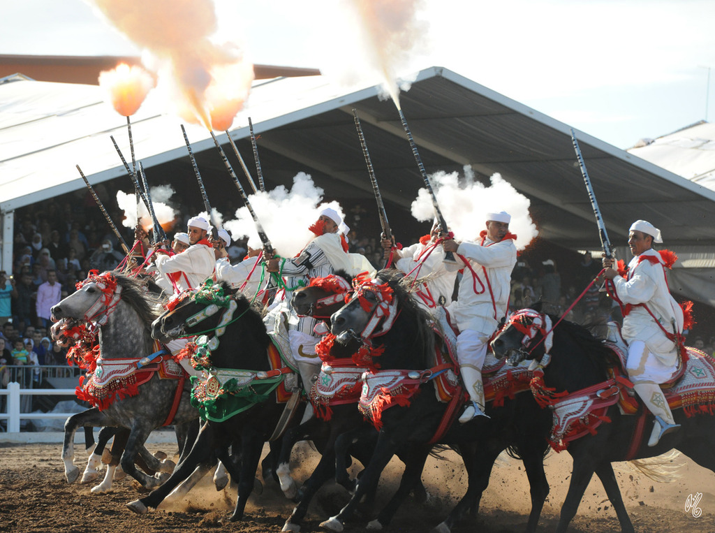 Lisa Abraham: Tbourida Photos by Lisa Abraham 