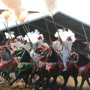 Lisa Abraham: Tbourida Photos by Lisa Abraham 