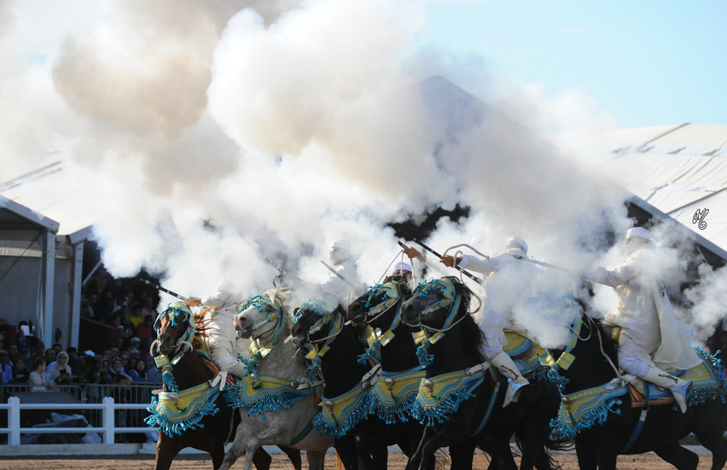 Lisa Abraham: Tbourida Photos by Lisa Abraham 