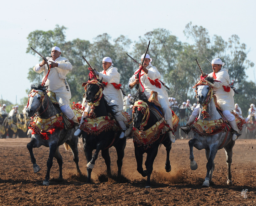 Lisa Abraham: Tbourida Photos by Lisa Abraham 