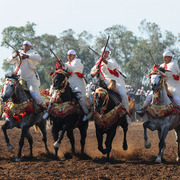 Lisa Abraham: Tbourida Photos by Lisa Abraham 