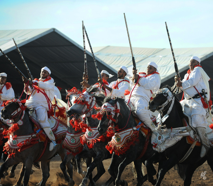 Lisa Abraham: Tbourida Photos by Lisa Abraham 