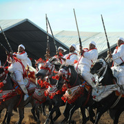 Lisa Abraham: Tbourida Photos by Lisa Abraham 