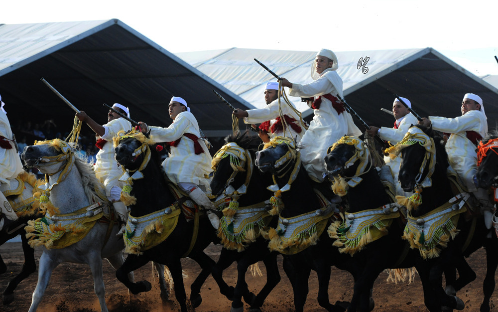 Lisa Abraham: Tbourida Photos by Lisa Abraham 