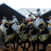 Lisa Abraham: Tbourida Photos by Lisa Abraham 