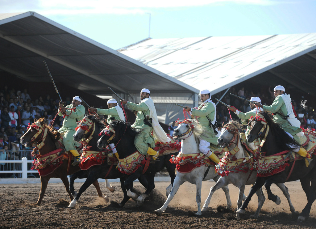 Lisa Abraham: Tbourida Photos by Lisa Abraham 