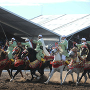 Lisa Abraham: Tbourida Photos by Lisa Abraham 