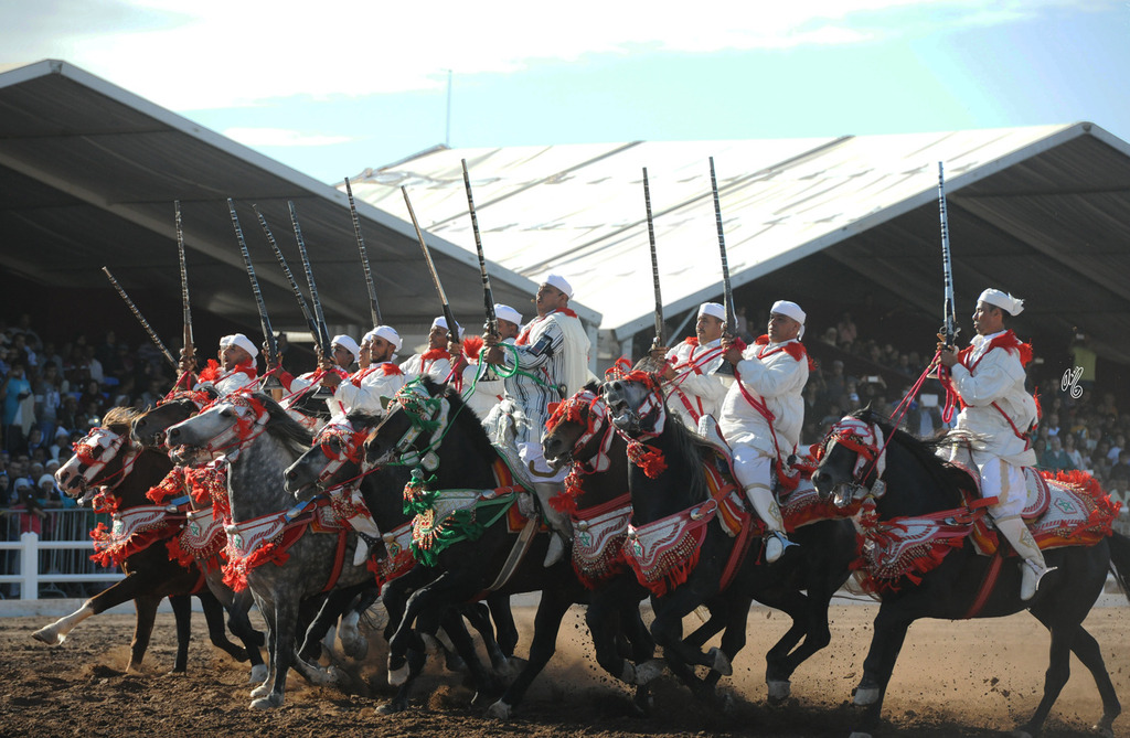 Lisa Abraham: Tbourida Photos by Lisa Abraham 