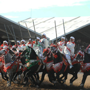 Lisa Abraham: Tbourida Photos by Lisa Abraham 