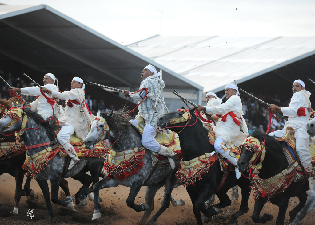 Lisa Abraham: Tbourida Photos by Lisa Abraham 