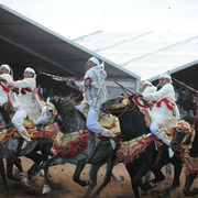 Lisa Abraham: Tbourida Photos by Lisa Abraham 