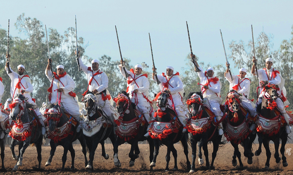 Lisa Abraham: Tbourida Photos by Lisa Abraham 