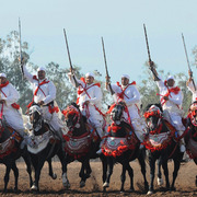 Lisa Abraham: Tbourida Photos by Lisa Abraham 