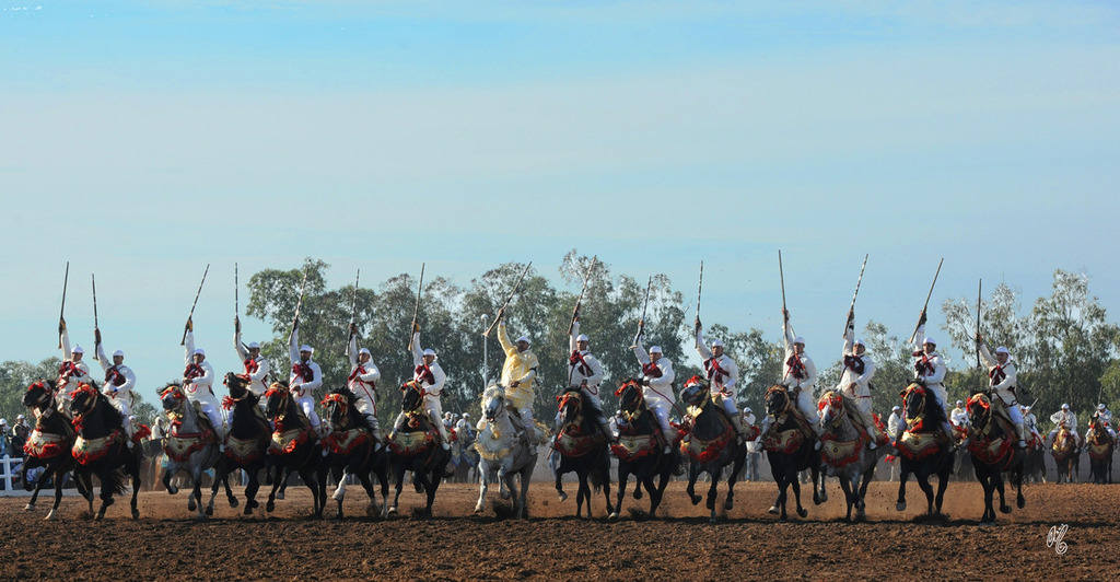 Lisa Abraham: Tbourida Photos by Lisa Abraham 