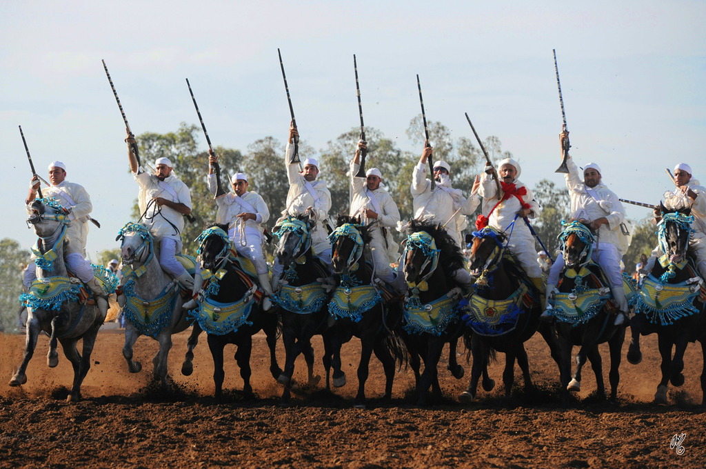 Lisa Abraham: Tbourida Photos by Lisa Abraham 