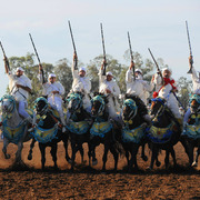 Lisa Abraham: Tbourida Photos by Lisa Abraham 