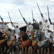 Lisa Abraham: Tbourida Photos by Lisa Abraham 