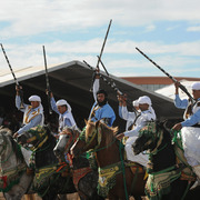 Lisa Abraham: Tbourida Photos by Lisa Abraham 