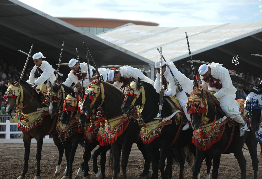 Lisa Abraham: Tbourida Photos by Lisa Abraham 