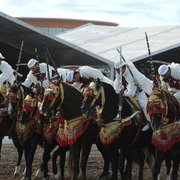 Lisa Abraham: Tbourida Photos by Lisa Abraham 