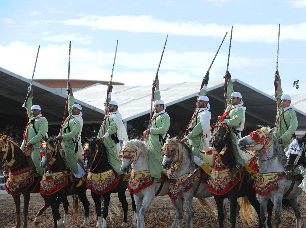 Lisa Abraham: Tbourida Photos by Lisa Abraham 